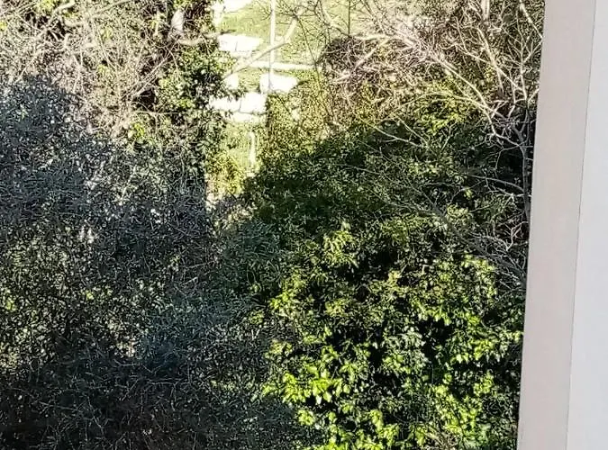 Lo Scorcio Della Neapolis Accogliente Pressi Parco Neapolis Apartment